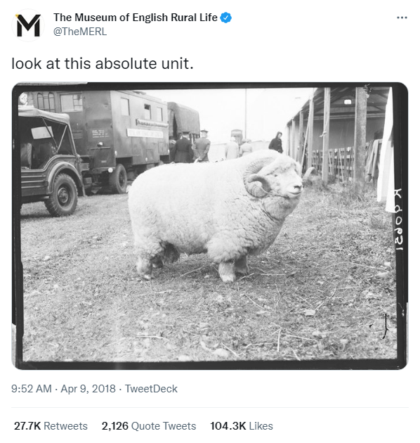 MERL Absolute Unit