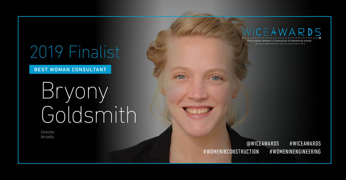 Arcadis brony goldsmith