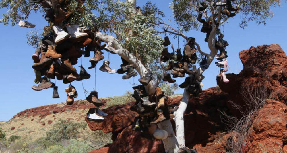 RioTinto Pannawonnica boot tree
