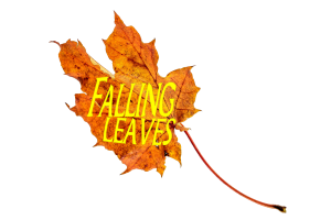 Falling Leaves Rough Ride