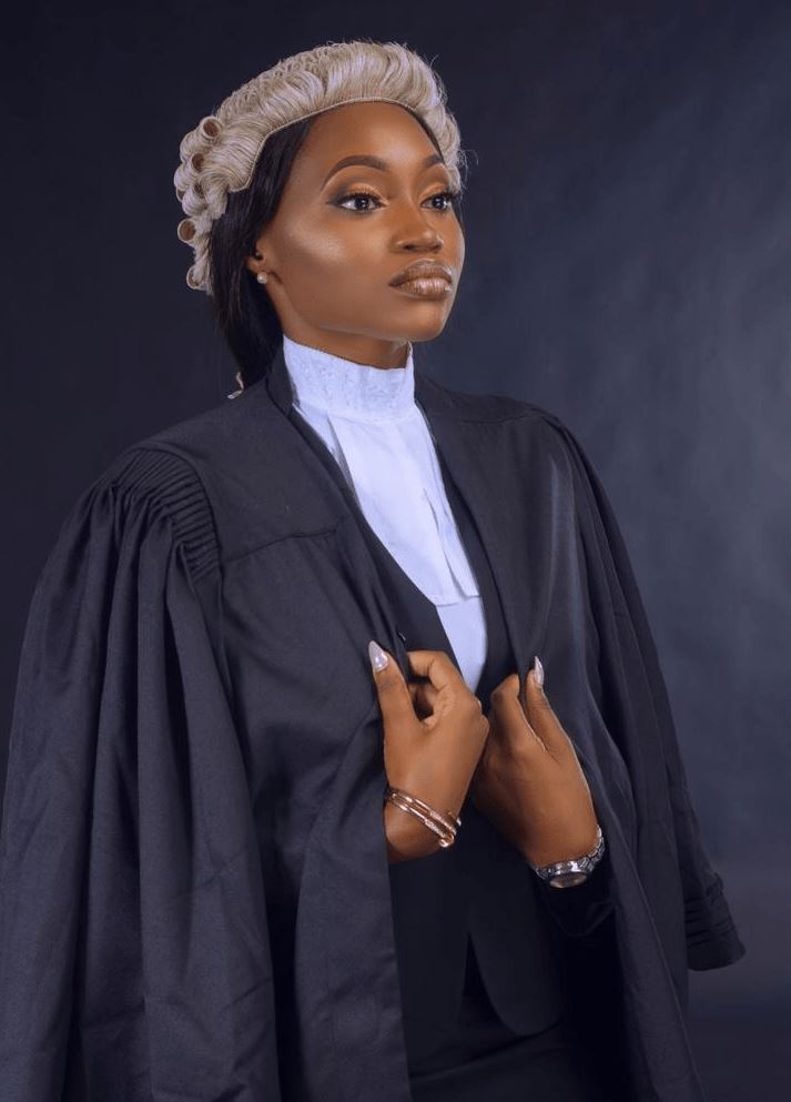 Traditional Barristers Wig Blonde Suitable for African and Asian