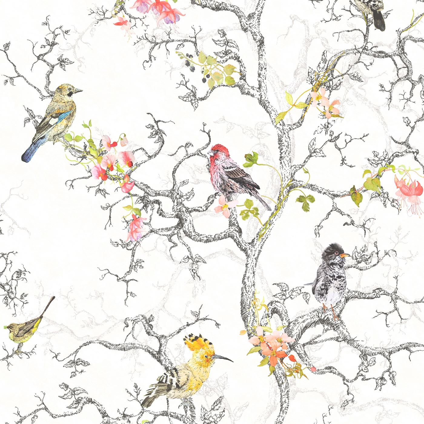 BEAUTIFUL BIRDS THEMED WALLPAPERS IN VARIOUS DESIGNS FEATURE WALL ROOM