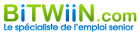 Logo BITWIIN