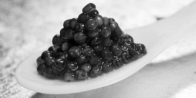 Caviar
