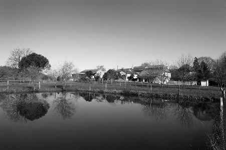 Domaine