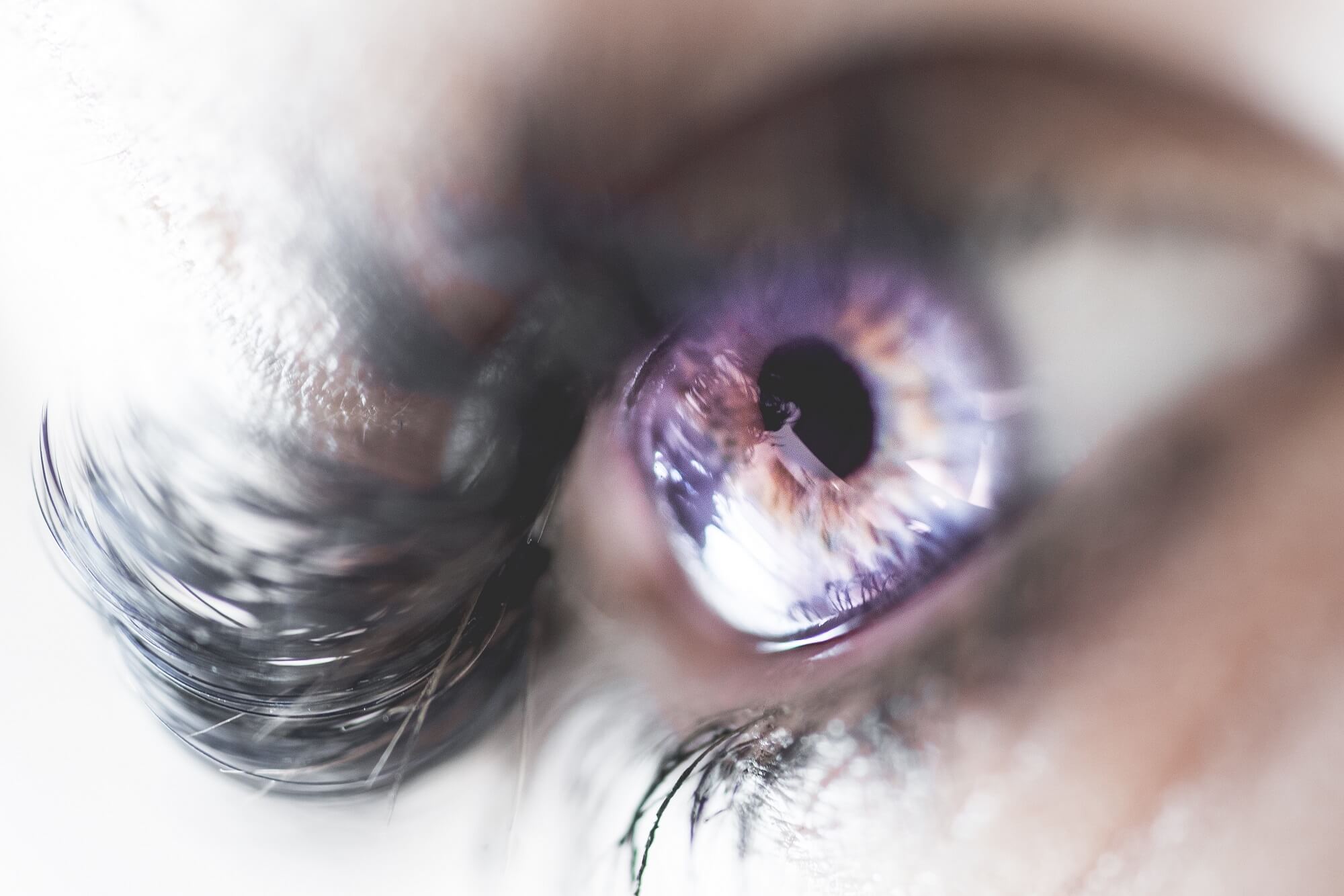 Img Cover Large INFINITE VISION OPTICS