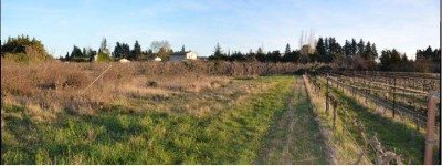 LES TERRES DE VELORGUES financ&eacute; sur WiSEED