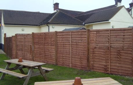 Larch Panels