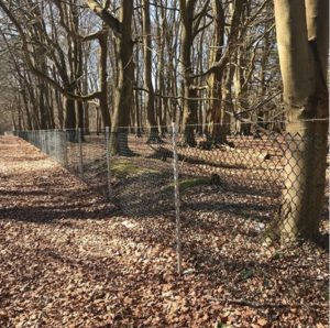 1.2 metre high green plastic-coated chainlink, on galvanised posts with barbed wire above
