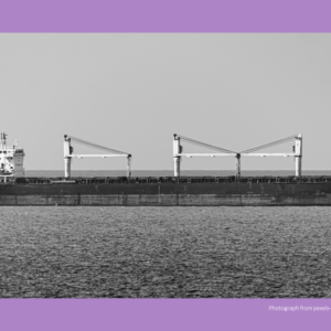 Snapshot in Voyage Estimates & Fixtures