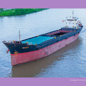 Snapshot in Bills of Lading