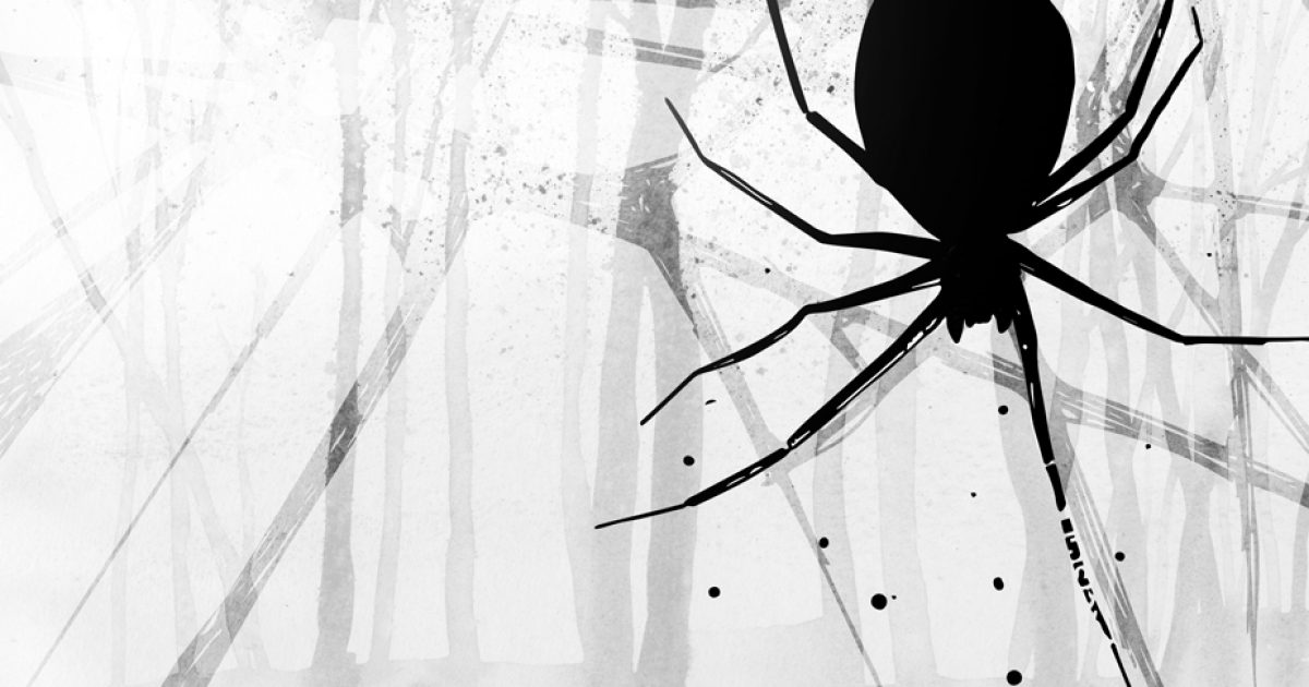A guide to The Black Spider | WNO