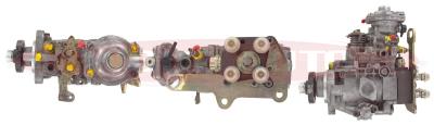 RDP10203