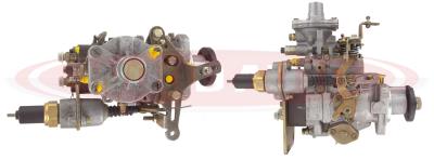 RDP10204