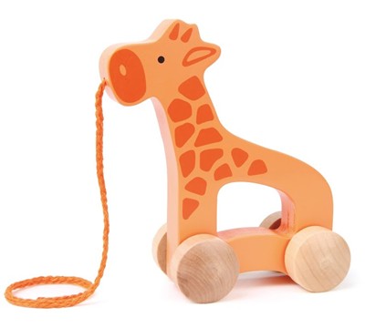 push pull toy