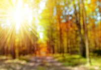 shutterstock_319171859