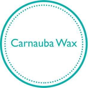 Carnauba-wax-icon1