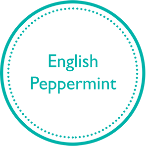 English-Peppermint-icon1