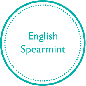English-Spearmint-icon1