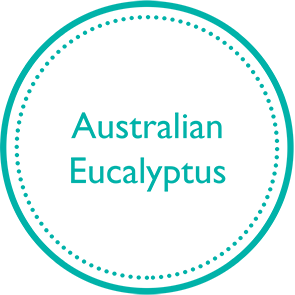eucalyptus-icon1