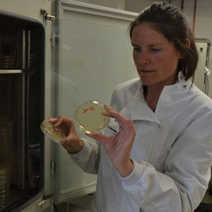 Lir Analytical partner with Athlone Bioscience Research Institute