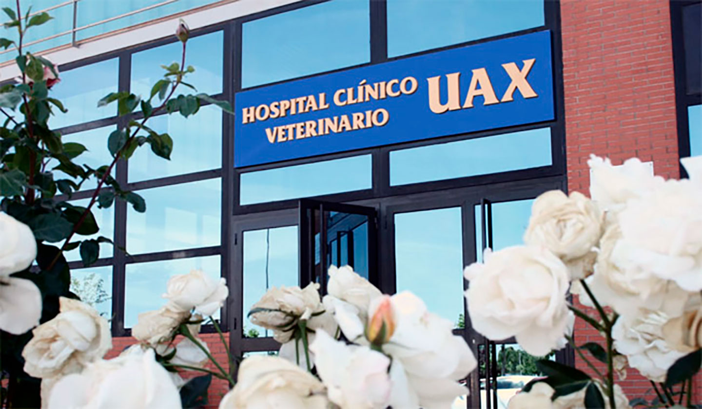 Facultad de Veterinaria