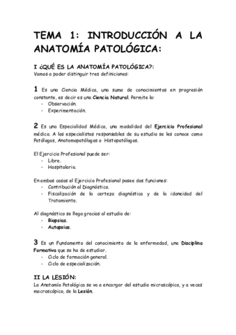 Tipos de anatomia Tipos de anatomia