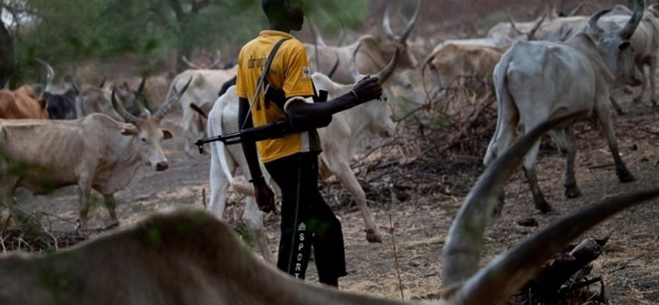 suspected herdsmen