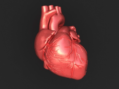 check your children's blood pressure