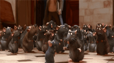 Mice in office