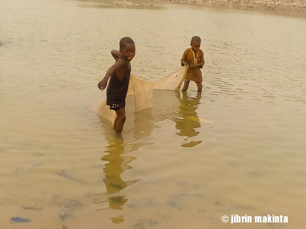 Two young boys pull a net as they fish at river Ngadda bul. Maiduguri.