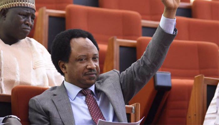 Hilarious reactions trail Shehu Sani's demand for face, name, of Italian with coronavirus