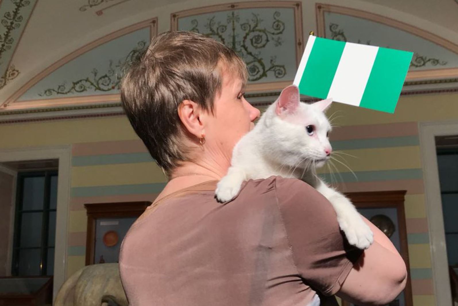 Achilles the 'psychic' cat