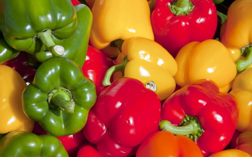 TATASHE! Six amazing health benefits of Bell peppers, number two will