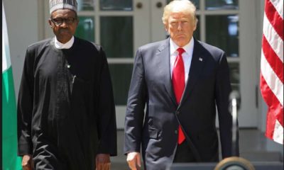 Buhari and Trump Buhari visa committee