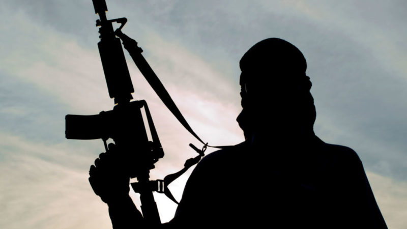 assistant director korean doctor gunmen abduct