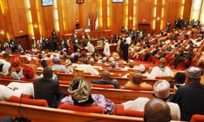 Senate ministerial nominees