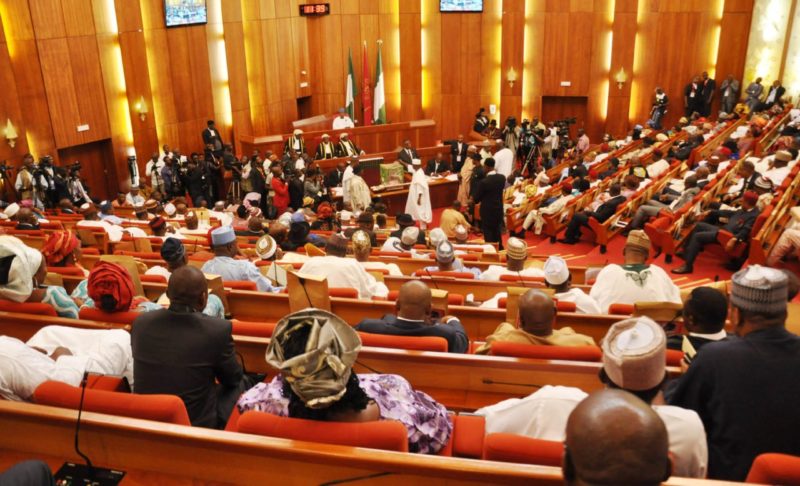 Nigerian Senate senator nude