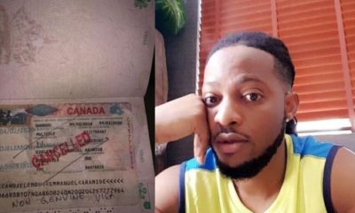 Fake visa