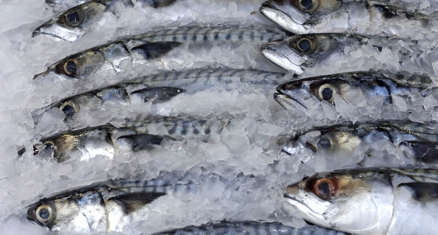 fish Emefiele