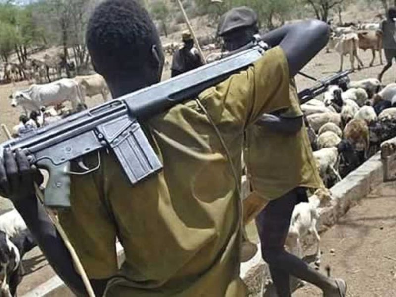 Herdsmen delta