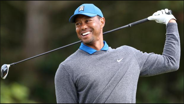 Tiger Wood
