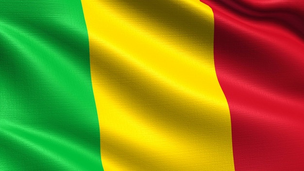 Mali holds election despite coronavirus, Insurgency