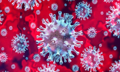 JUST IN: Nigeria confirms 23 new cases of coronavirus, toll now 174