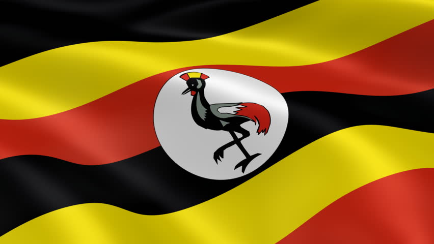 Covid-19: Uganda records 36 new cases toll now 317