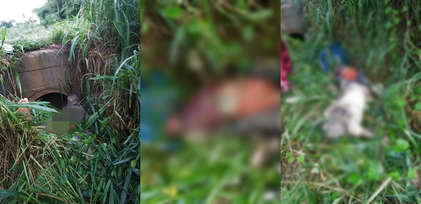 Delta: Three decomposing bodies found in a bush