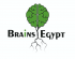 Business Development Manager at Brains|Egypt