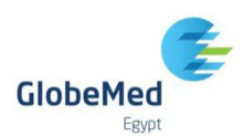 Jobs and Careers at GlobeMed Egypt
