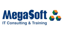 Jobs and Careers at MegaSoft