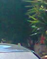 Jobseeker photo
